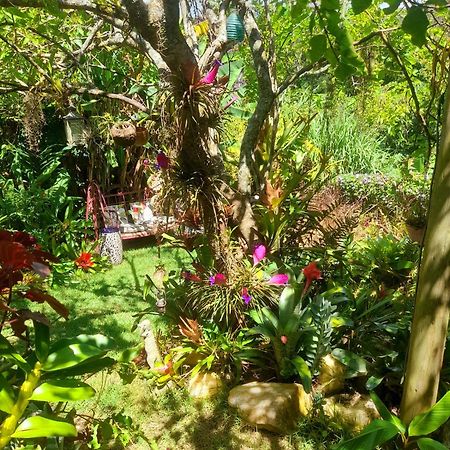 Casa De Vidro Apartment Petropolis  Ngoại thất bức ảnh