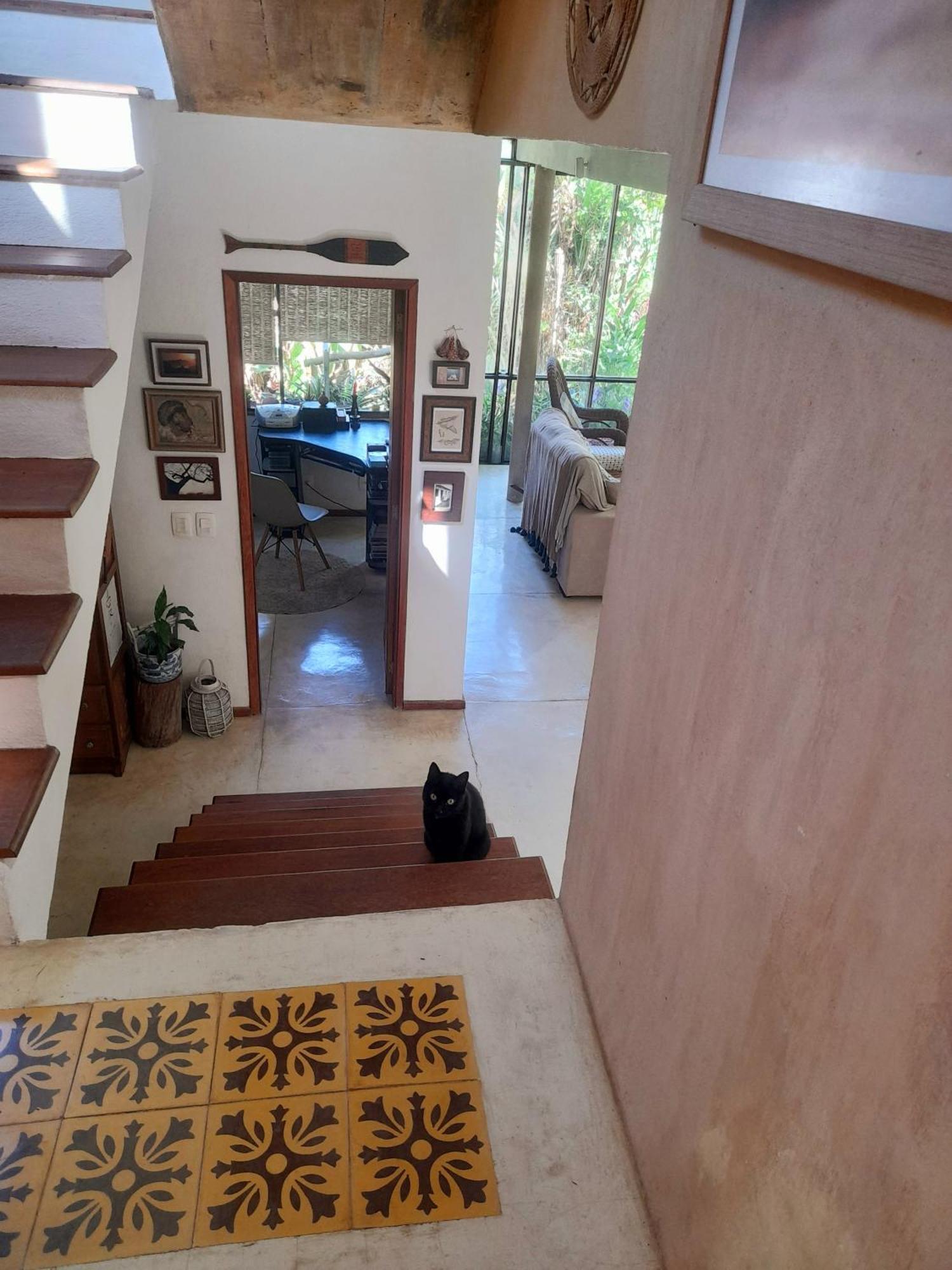 Casa De Vidro Apartment Petropolis  Ngoại thất bức ảnh