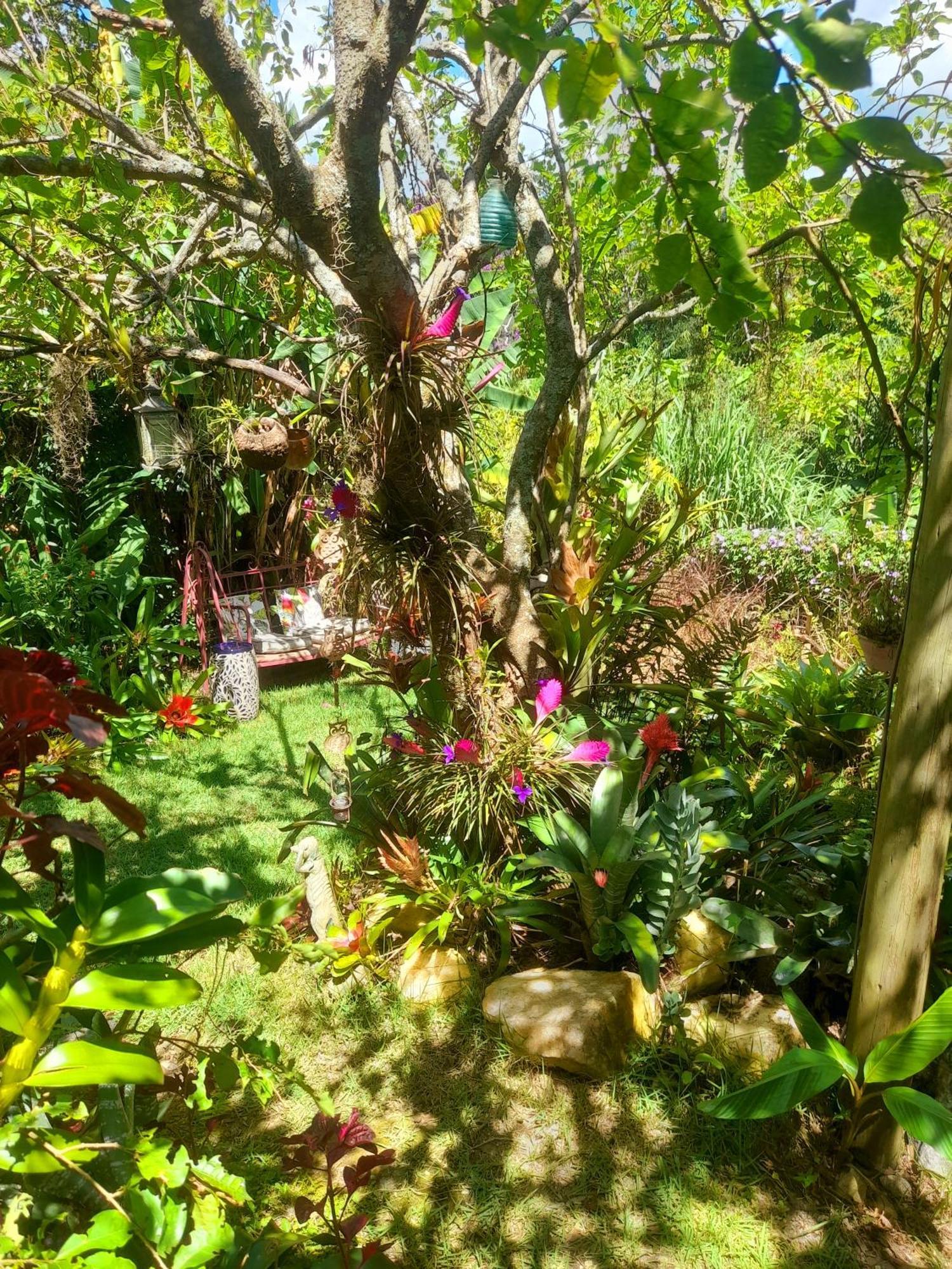 Casa De Vidro Apartment Petropolis  Ngoại thất bức ảnh